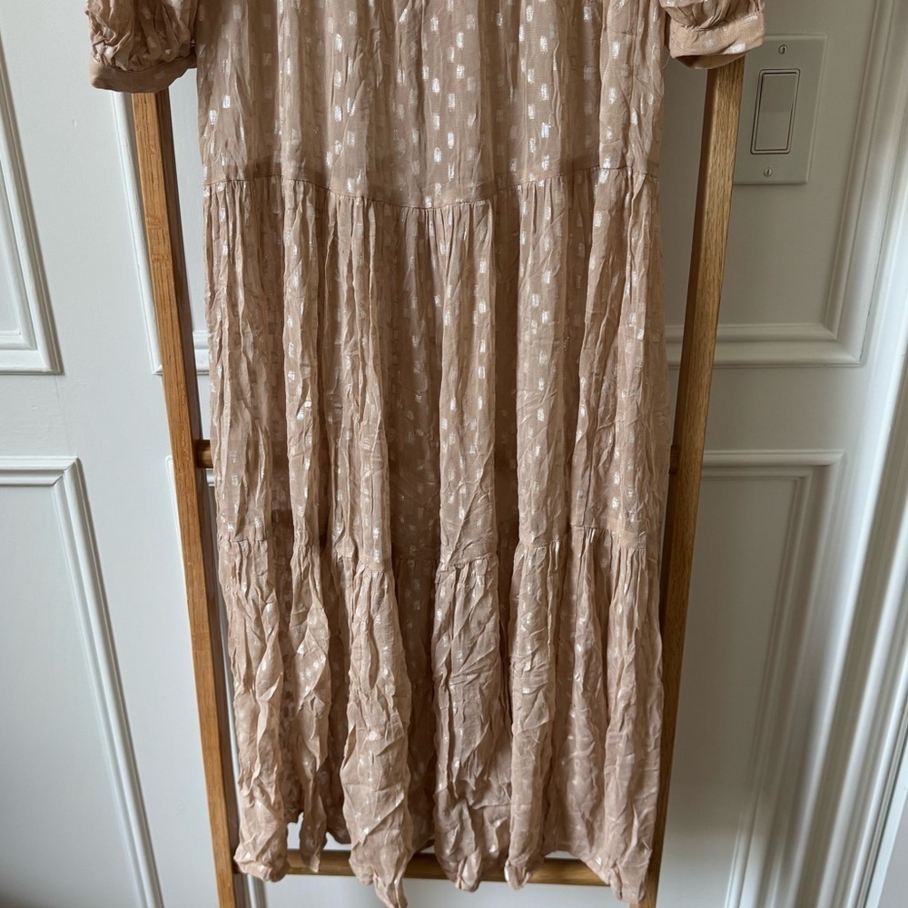 Saltwater Luxe Sheer Midi Dress - Size XS - NWT - Blush/Champagne Shimmer - Picture 9 of 9